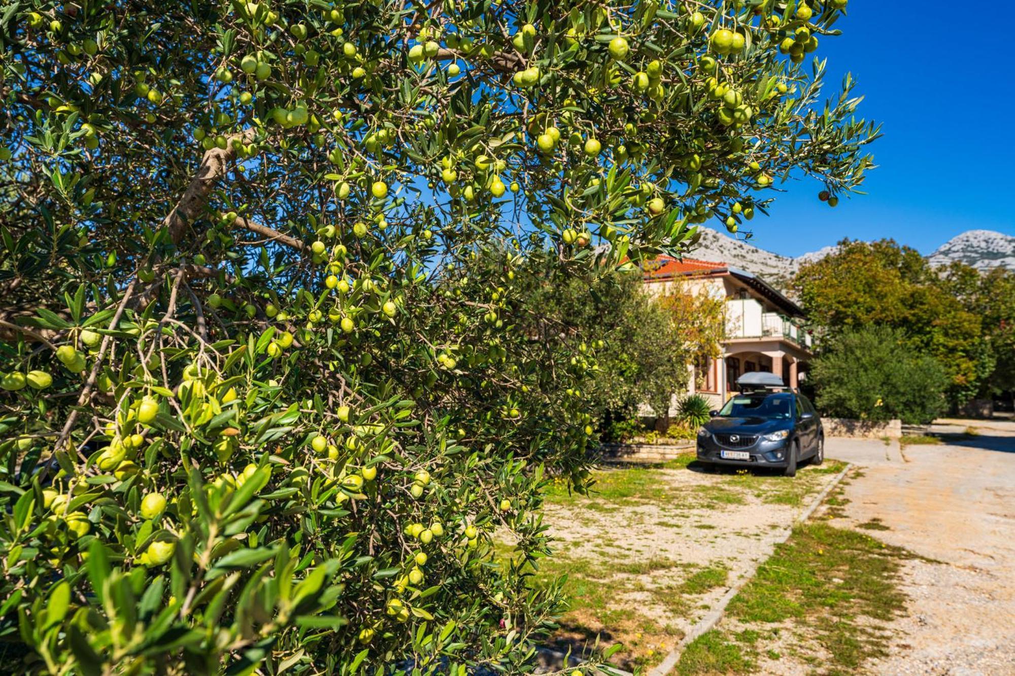Apartment And Adriana Starigrad Paklenica